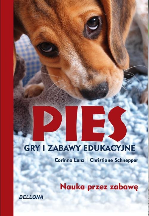 Image of Pies Gry i zabawy edukacyjne Nauka przez zabawę