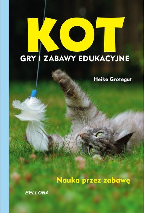 Image of Kot Gry i zabawy edukacyjne