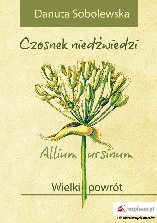 Image of Czosnek niedźwiedzi - Allium ursinum Wielki powrót