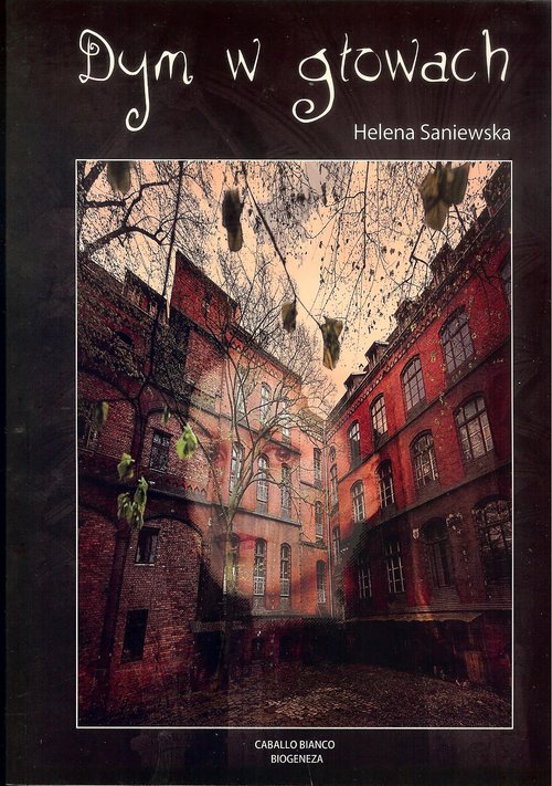 Image of Dym w głowach