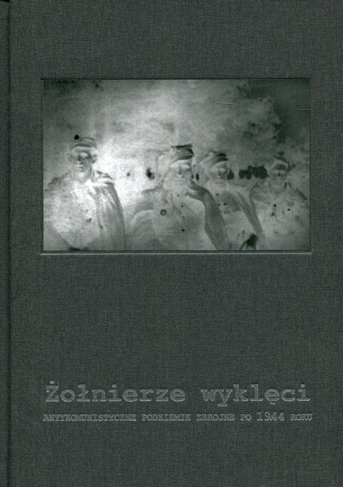 Image of Żołnierze wyklęci Antykomunistyczne podziemie zbrojne po 1944 roku