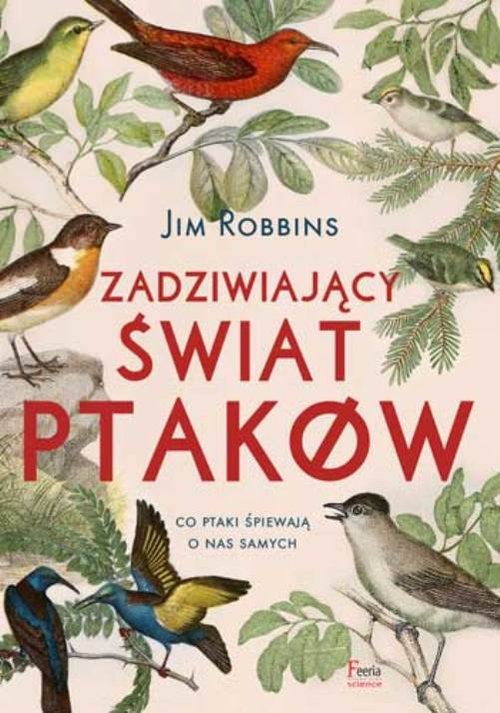 Image of Zadziwiający świat ptaków