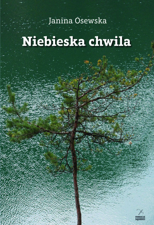 Image of Niebieska chwila