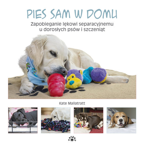 Image of Pies sam w domu Zapobieganie lękowi separacyjnemu u dorosłych psów i szczeniąt
