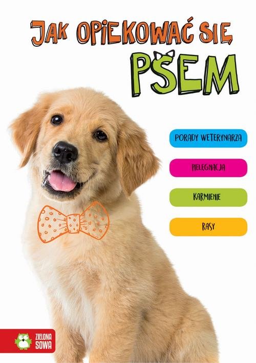 Image of Jak opiekować się psem