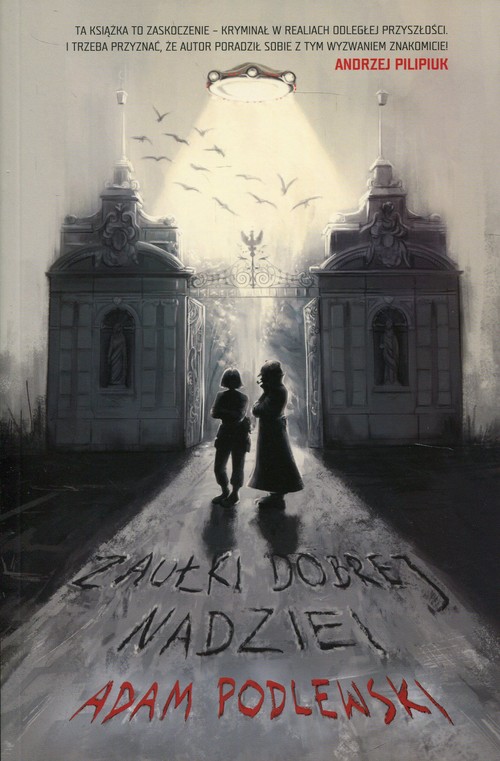 Image of Zaułki dobrej nadziei