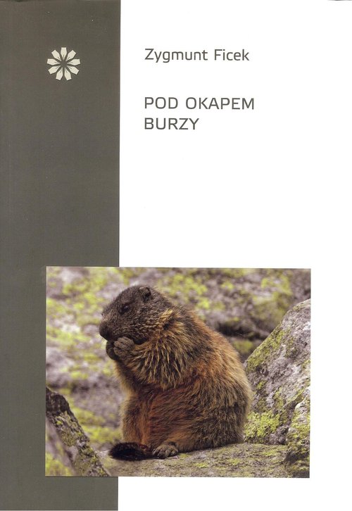 Image of Pod okapem burzy