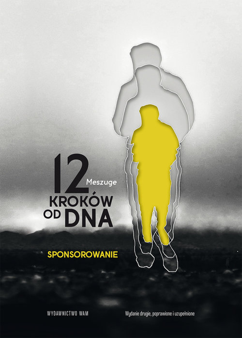 Image of 12 kroków od dna Sponsorowanie