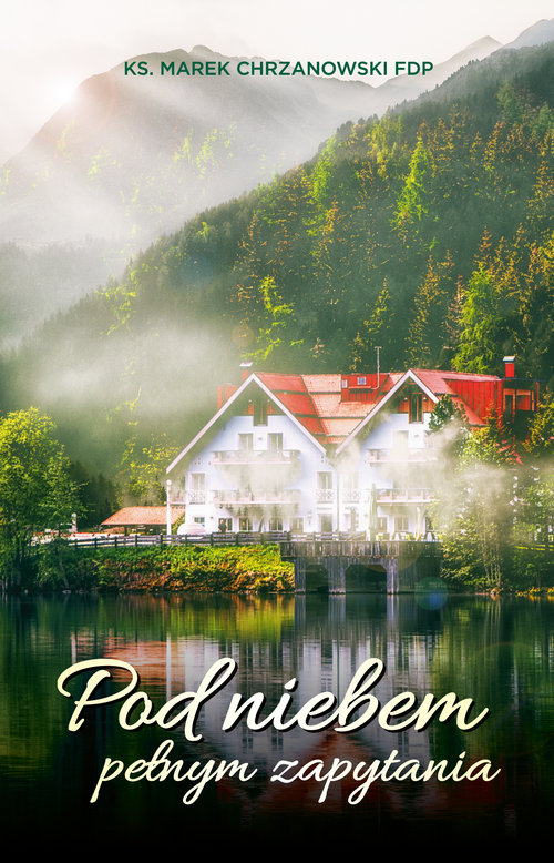 Image of Pod niebem pełnym zapytania