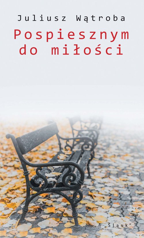 Image of Pospiesznym do miłości