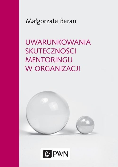 Image of Uwarunkowania skuteczności mentoringu w organizacji