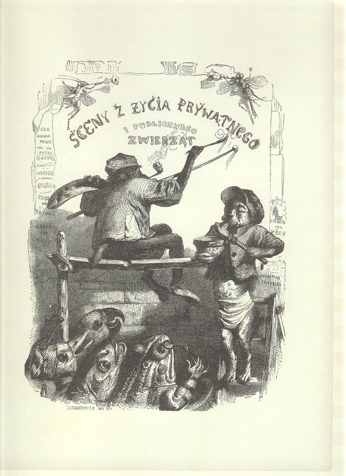 Image of Sceny z życia prywatnego i publicznego zwierząt