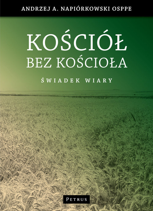 Image of Kościół bez kościoła Świadectwo wiary