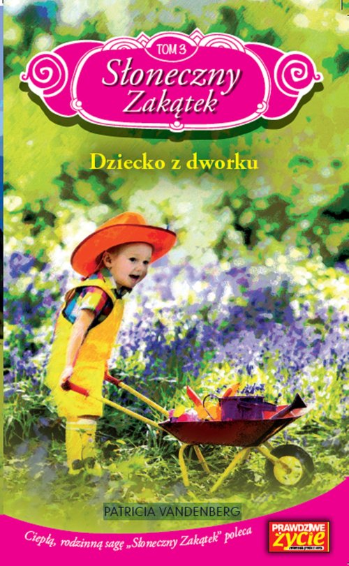 Image of Słoneczny Zakątek Tom 3 Dziecko z dworku