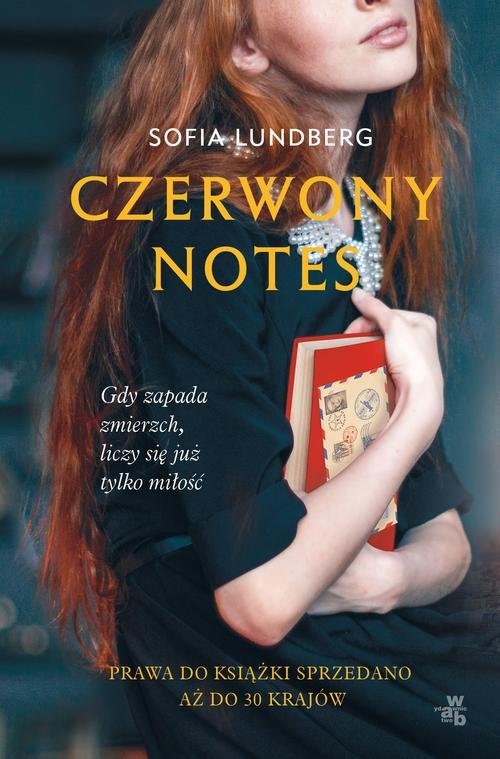Image of Czerwony notes