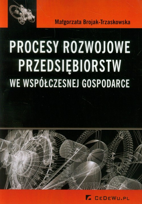 Image of Procesy rozwojowe przedsiębiorstw we współczesnej gospodarce