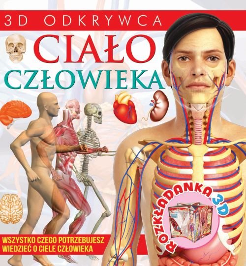 Image of Rozkładanka 3D Ciało człowieka