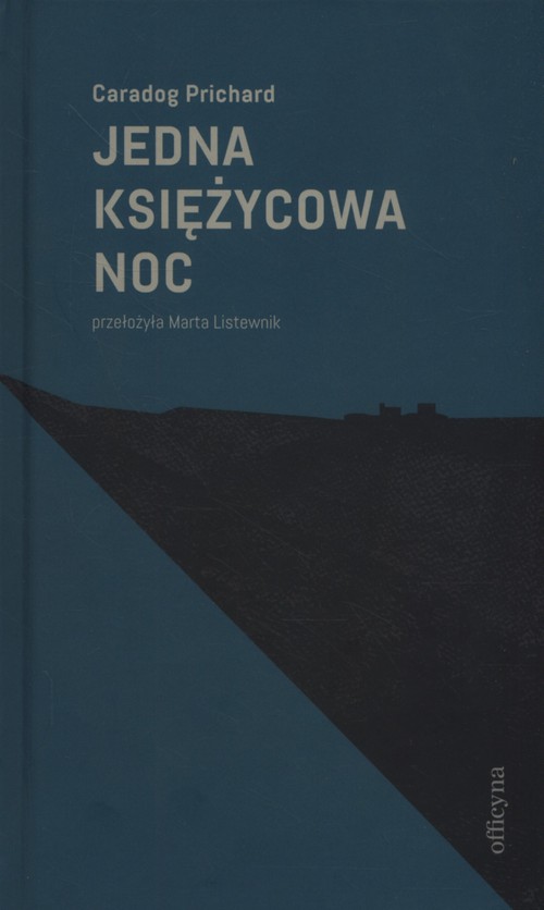 Image of Jedna księżycowa noc