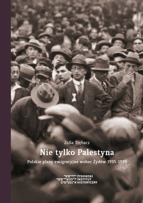Image of Nie tylko Palestyna Polskie plany emigracyjne wobec Żydów 1935-1939