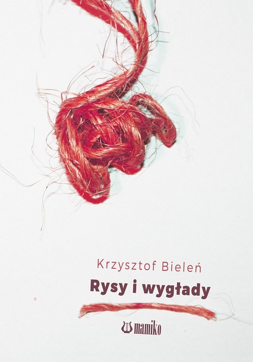 Image of Rysy i wygłady