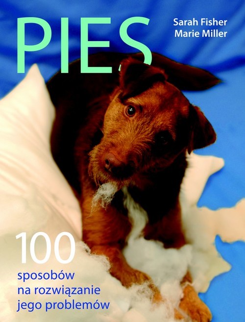 Image of Pies. 100 sposobów na rozwiązanie jego problemów
