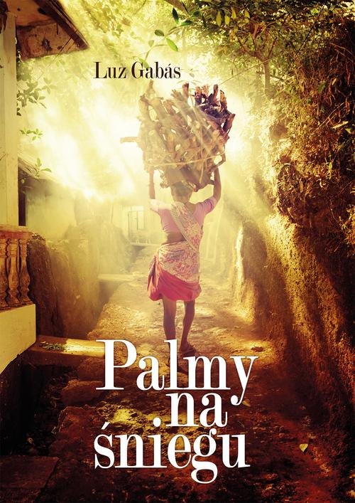 Image of Palmy na śniegu