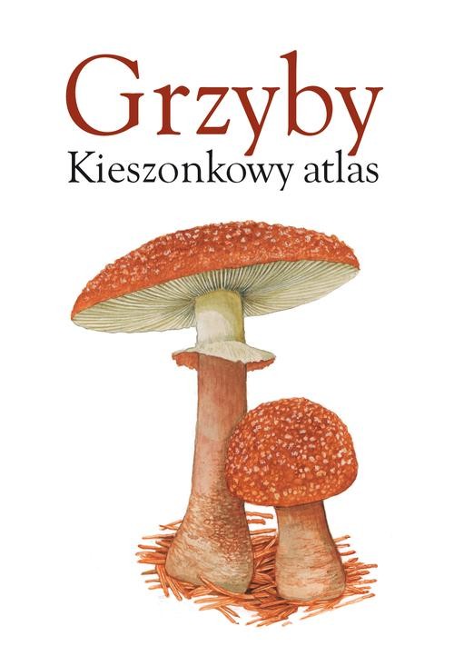 Image of Grzyby. Kieszonkowy atlas