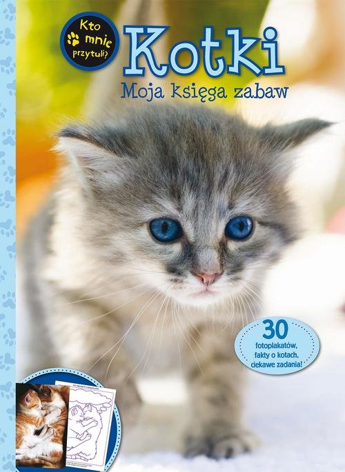 Image of Kotki. Moja księga zabaw