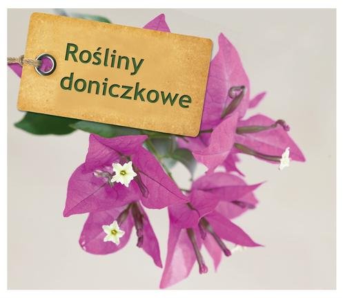 Image of Rośliny doniczkowe. 99 szybkich porad