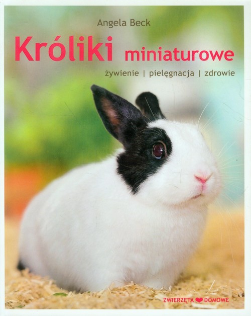 Image of Króliki miniaturowe żywienie pielęgnacja zdrowie