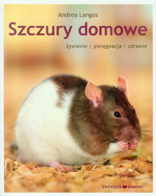 Image of Szczury domowe żywienie pielęgnacja zdrowie