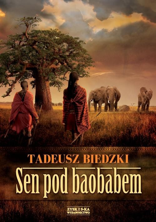 Image of Sen pod baobabem