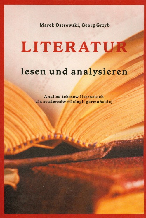 Image of Literatur lesen und analysieren Analiza tekstów literackich dla studentów filologii germańskiej