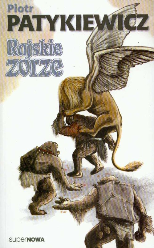 Image of Rajskie zorze