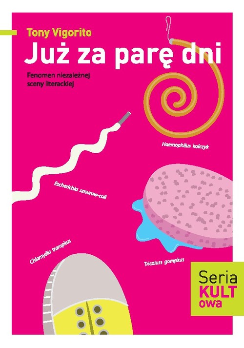 Image of Już za parę dni Fenomen niezależnej sceny literackiej