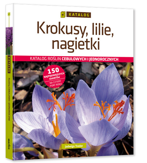 Image of Krokusy, lilie, nagietki Katalog roślin cebulowych i jednorocznych