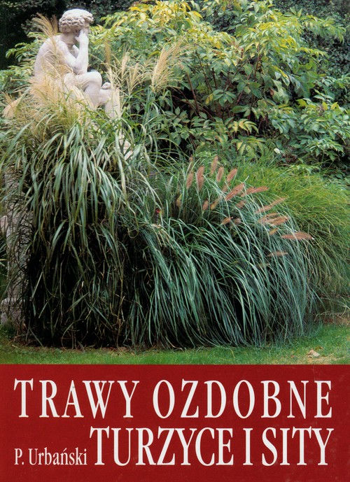 Image of Trawy ozdobne, turzyce i sity