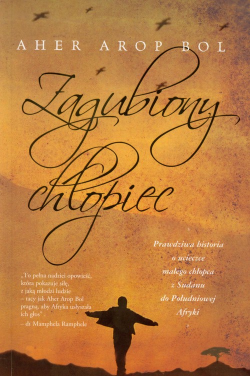 Image of Zagubiony chłopiec