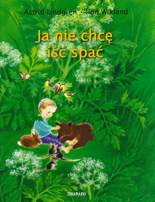Image of Ja nie chcę iść spać