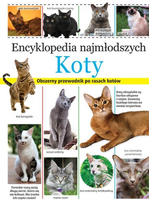 Image of Encyklopedia najmłodszych Koty Obszerny przewodnik po rasach kotów