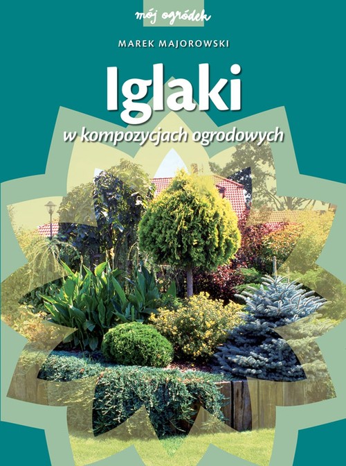 Image of Iglaki w kompozycjach ogrodowych