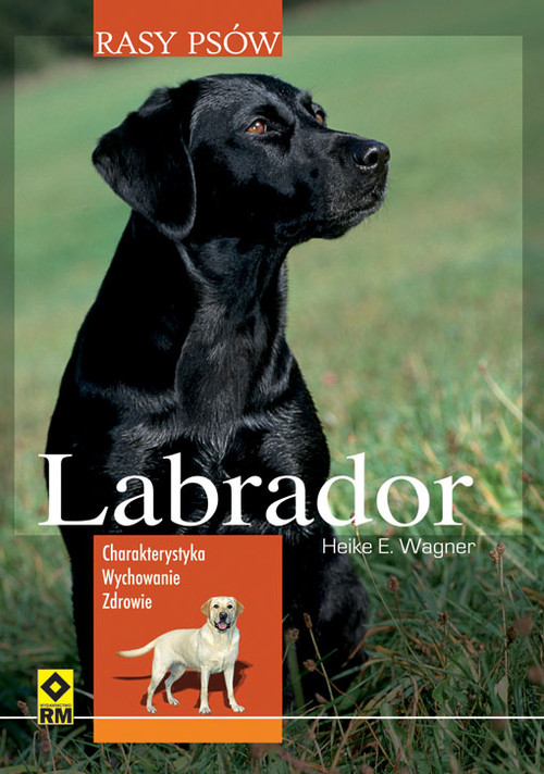 Image of Labrador Rasy psów