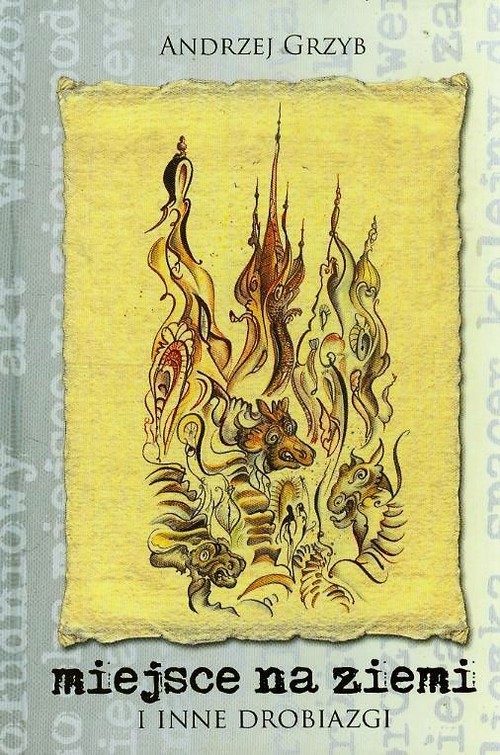 Image of Miejsce na ziemi i inne drobiazgi