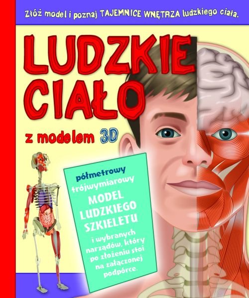 Image of Ludzkie ciało z modelem 3D