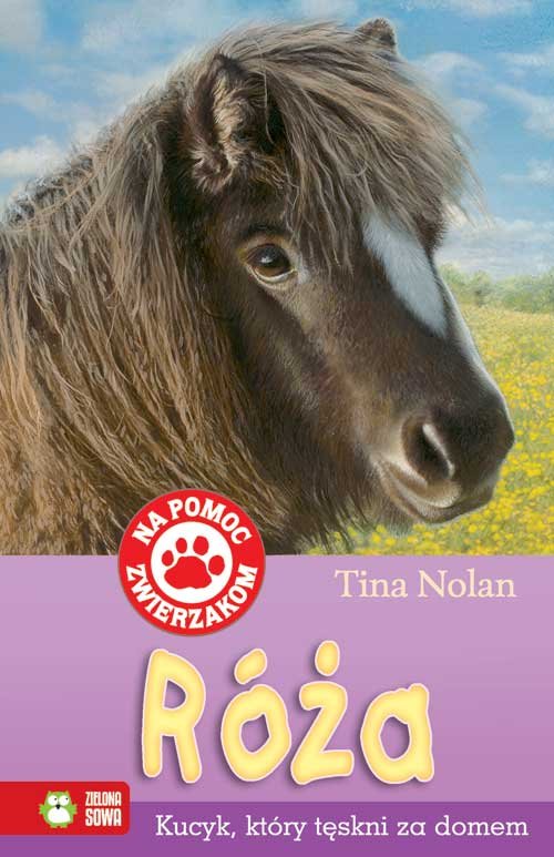 Image of Na pomoc zwierzakom Róża, Kucyk który tęskni za domem