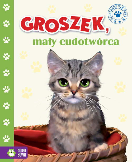 Image of Groszek mały cudotwórca