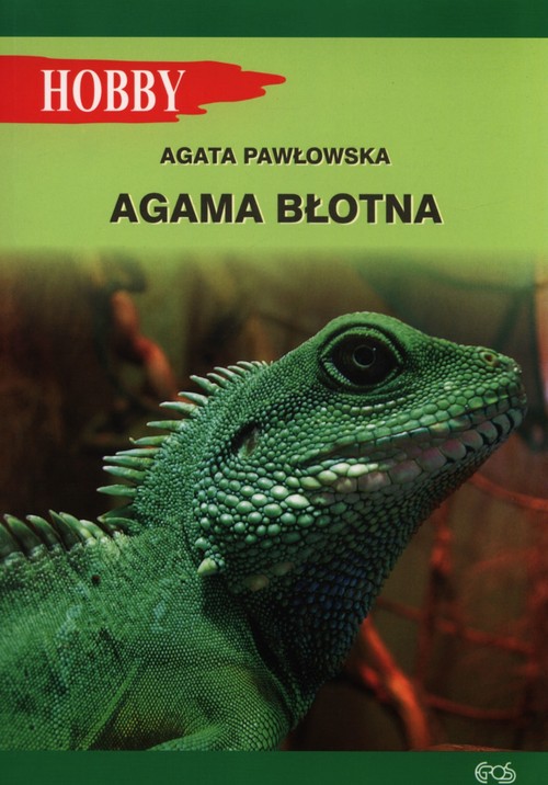 Image of Agama błotna