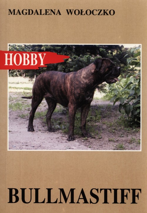 Image of Bullmastiff