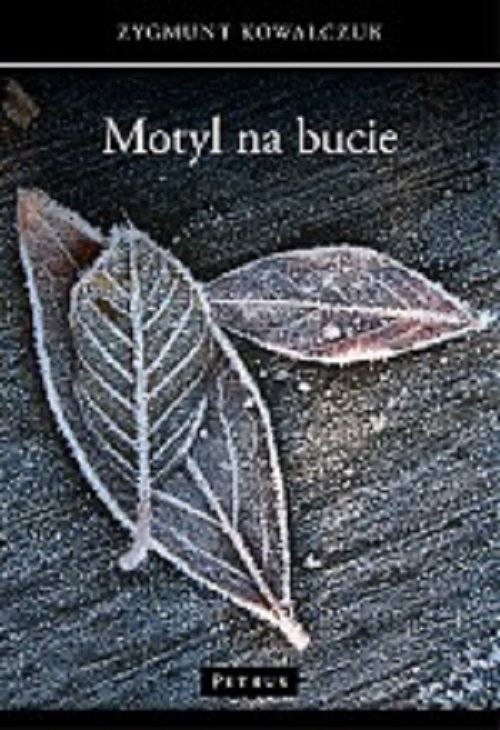 Image of Motyl na bucie