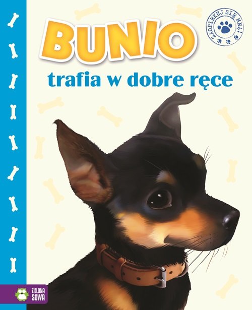 Image of Bunio trafia w dobre ręce
